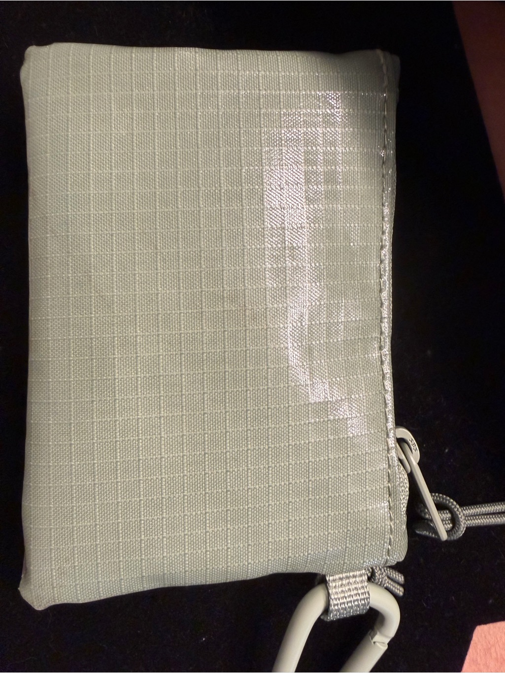 Calpak Terra Zip Pouch With Carabiner Nwot — image 4 of 5